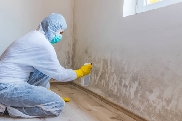 Licensed Commercial Mold Remediation service in Madison, FL - WQB Mold Removal