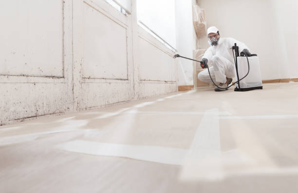 24/7 Emergency Commercial Mold Remediation experts in Madison, FL