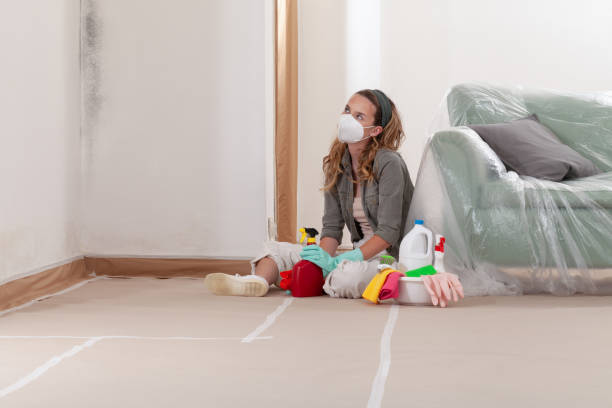 Reliable Commercial Mold Remediation contractor in Madison, FL by WQB Mold Removal